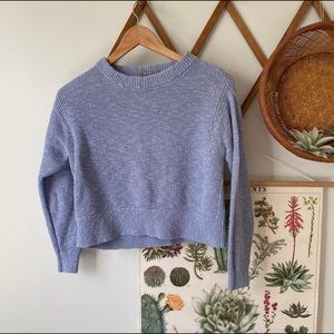 Everlane Blue Crop Sweater